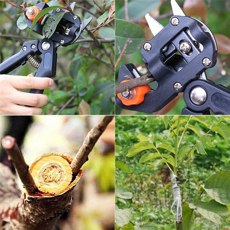 Kit de Greffage Professionnel pour Arbres Fruitiers – 2 en 1 - Image 6